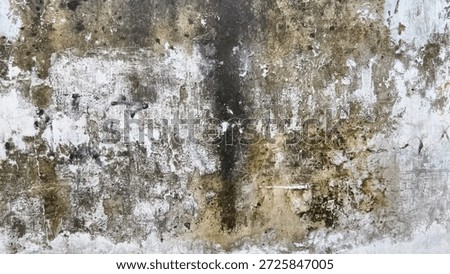Close-up of dirty wall with mold and mildew stains