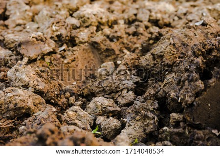 Closeup of divots of argillaceous earth and moist soil in a ploughed piece of land in Occitanie, Southern France ; example of a hard-to-work earth