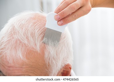 Hair Lice Treatment Images Stock Photos Vectors Shutterstock