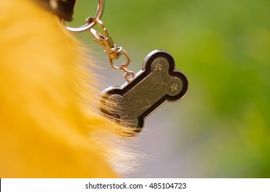 Closeup Dog Collar With Metal Tag Shaped In The Form As Bone, Hanging From Neck