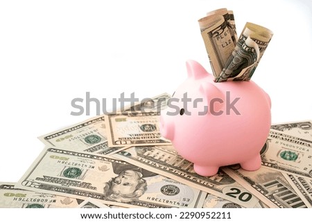 Close-up of dollar cash and piggy bank on the table. business, finance, investment, savings and corruption concept.