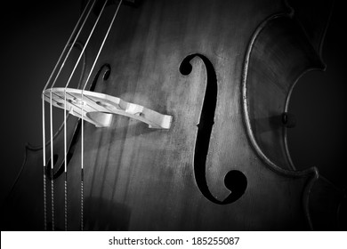 Close-up Of Double Bass, Wooden Musical Instrument That Is Played With A Bow