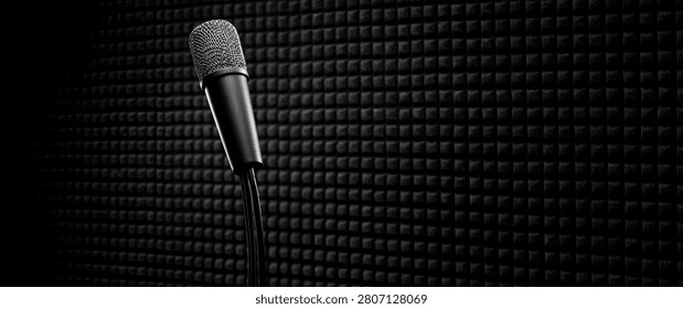 A close-up, dramatic black and white shot of a professional microphone positioned on a stand against a textured, sound-dampening wall.
