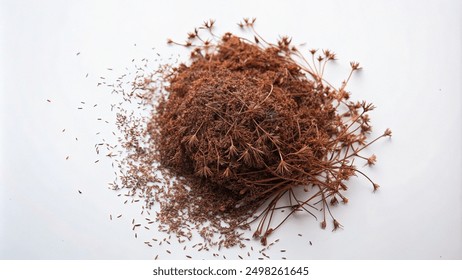 A close-up of dried plant material and seeds scattered on a white surface. - Powered by Shutterstock