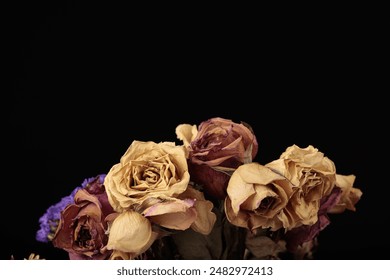 Close-up of dried roses with a dark background, showcasing their withered beauty and rich earthy tones. - Powered by Shutterstock