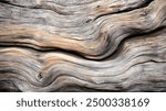 Close-Up of Driftwood Texture Showcasing Natural Patterns