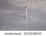 Close-up of drop of mud in boiling mudpot in Yellowstone