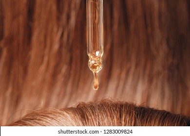 Close-up drop of oil restore and recovery hair is applied to head bulbs. Concept hairdresser spa salon.