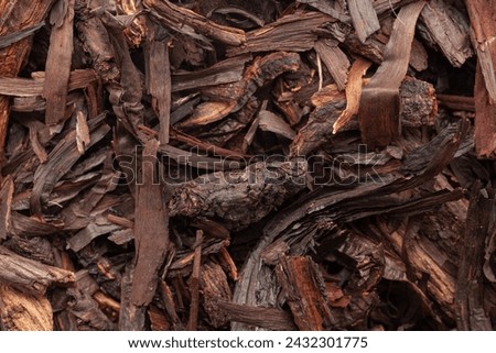 Close-up of Dry Alkanet or Ratan Jot (Alkanna tinctoria) roots, Full-Frame wallpaper. Top View
