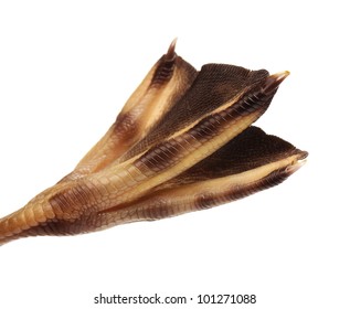 Close-up Of Duck Feet Isolated On White Background