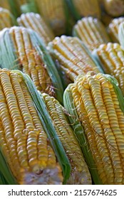 Closeup Of Ears Of Corn At Outdoor Market Stall. Sao Paulo City, Brazil