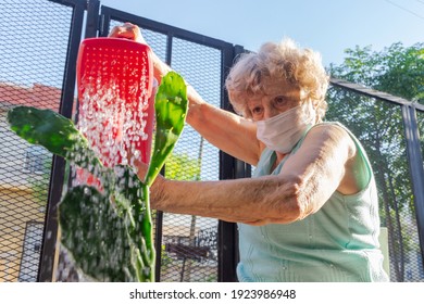 Close-up Of Elderly Woman Watering Plants With A Mask Against The Coronavirus. Old Woman With A Mask Taking Care Of Her Plants In Lockdown Due To Covid.