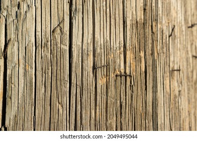 Closeup Of An Electric Pole In An Evening Light. Wood Is Weathered, And There Are A Few Staples Left From Already Removed Advertisements And Announcements