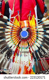 close-up element costume Native American feather