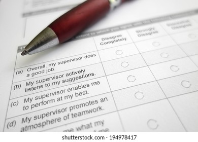Closeup Of An Employee Work Survey - Supervisor  Related                              