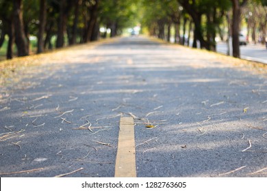Close-up empty road with blur tree background - image 