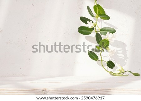 Close-up of empty wood table with sunlight on abstract plaster wall background and tropical liana plant