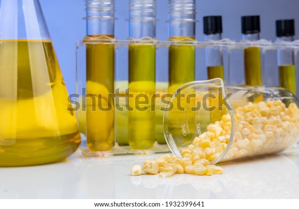 Close-up of ethanol biofuel derived\
from corn maze with beaker and test tubes in\
laboratory