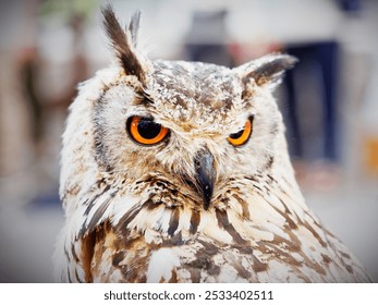 Close-up of a Eurasian eagle-owl with striking orange eyes and detailed feathers in a natural outdoor setting. - Powered by Shutterstock