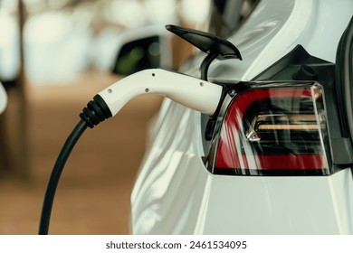 Closeup EV charger handle plugged in or connect to electric car, recharging EV car battery with alternative and sustainable energy with zero CO2 emission for clean environment. Perpetual - Powered by Shutterstock