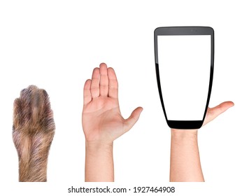 Closeup Evolution Of Hand From Animal To Smartphone Or Mobile Isolated On White. Concept Of How Technology Changed The Human Kind