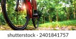 Close-up of Extreme Mountain Biking, Cyclist ride on MTB trails in the Green Forest with Mountain Bike, Outdoor sports activity fun and enjoy riding. Banner Size with Copy Space.