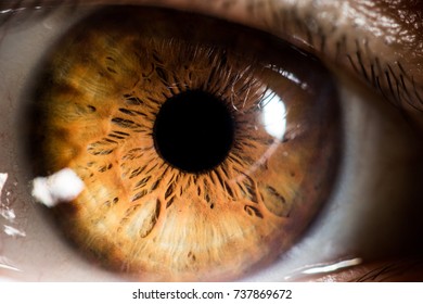 Closeup Eye