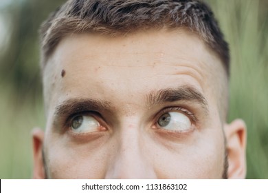 Closeup Of The Eye. Blood Vessels. Eyelashes In Macro. Pupil Close-up. Eyes And Eyelashes Close-up. Macro Photography. Iris. Look To The Sides, To The Left, Right Up And Down