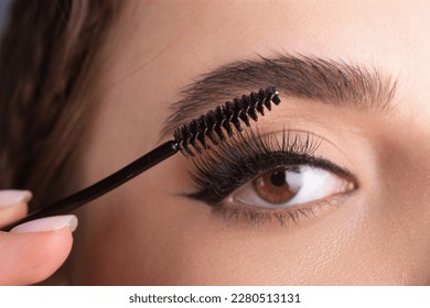 Closeup eyebrows with eyebrow brush. Close up brows, eyebrows lamination. Brow procedures. Long eyelashes, eyebrows, macro.