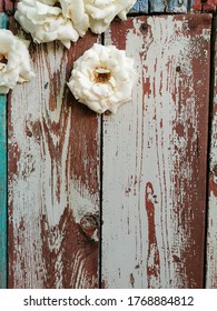 A close-up of fading tea roses on a wooden river wall, time-honored, symbolizes the passage of time and the beautiful knowledge of all around us. - Shutterstock ID 1768884812