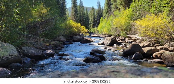 Closeup Fall View Of A Mountain Stream Near Basalt, CO