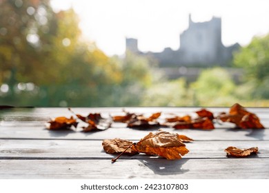 Closeup of fallen leaves on a gray plank table in a park in Ireland with the background of a medieval castle illuminated in the morning - Powered by Shutterstock