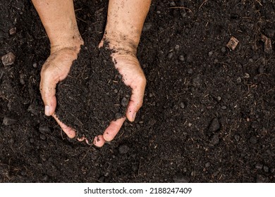 Closeup of Farmer holding fertilizer soil in the agricultural field. Fertilizer soil that is suitable for growing plants and accelerates plant growth. Concept of agriculture.
