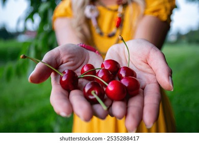 Close-Up of Farmer Woman Offering Freshly Picked Red Cherries in Outstretched Hands on a Warm Summer Day - Powered by Shutterstock