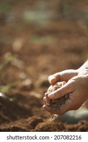 Closeup Of Farmer's Hands Holding Soil On Fertile Land In Farm