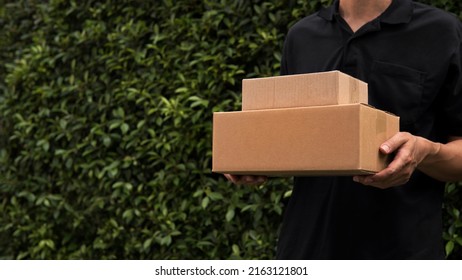 Closeup Fast And Express Delivery Man Standing In Black Shirt Carrying Cardboard Boxes Or Parcel With Green Leaves Nature Garden Background And Copy Space. Environmentally Friendly Business Concept