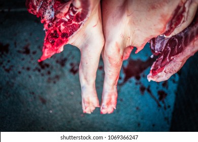 closeup of feet of a killed bleed pig hanging at the slaughterhouse
