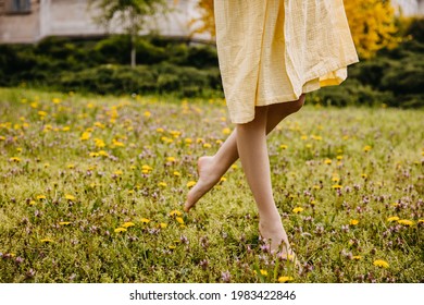 Closeup of female barefoot feet, walking in a field with green grass and flowers.
