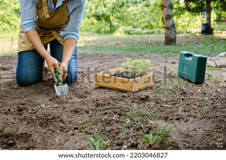 Close-up of female farmer agronomist digging loose soil, making a hole for planting seedlings in open ground in spring. Wooden crate with germinated seedling and garden tools on the field. Eco farming