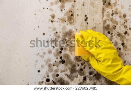 Close-up of female hand wearing yellow rubber gloves, woman cleans mold from wall with antimicrobial spray.