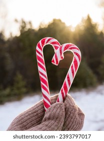 Close-up of female hands holding candy in the shape of hearts. Candy in your hands on a winter background.  Two lollipop sticks forming a heart in your hand. Christmas greeting card. Selective focus.