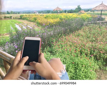 Close-up of female hands using smart phone while traveling at spring flower garden, Female traveler typing text message on her cellphone 