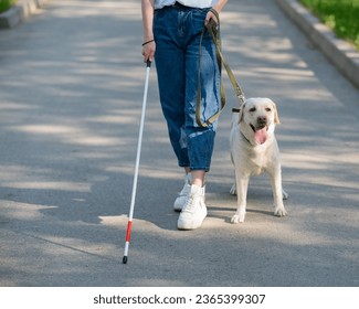 Close-up of female legs with tactile cane and guide dog in the park. 