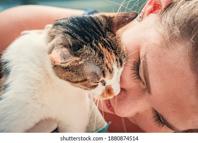 Close-up Of Female Volunteer Hugs Cat In Shelter. Shelter For Animals Concept