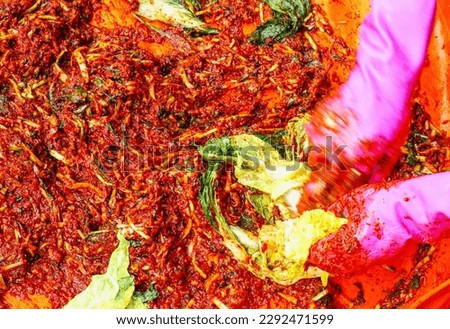 Close-up of a female's hands with rubber glove doing Gimjang(kimchi-making) with seasonings and pickled cabbage, South Korea
