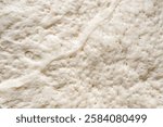 Close-up of fermented bread dough with visible bubbles and texture
