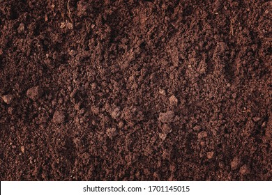 Close  up fertile loam for the background