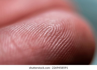 Close-up of fingerprint texture of finger skin macro photography - Shutterstock ID 2269458591