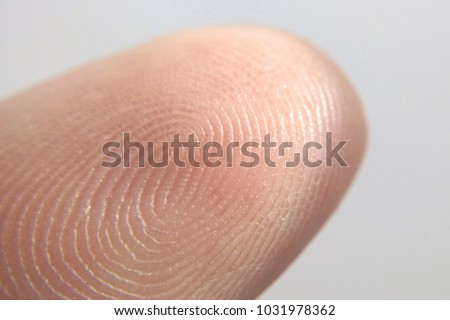 Close-up of fingerprint texture of finger skin macro photography