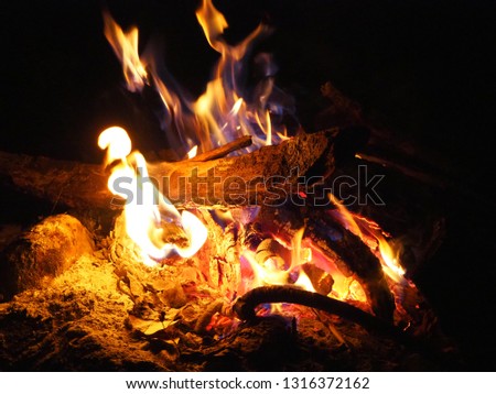 close-up fire camp in the forest 